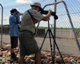 Mike Jarvis and Peter Kyne observing White Wagtail at Leanyer STP  (photo copyright Mike Jarvis)