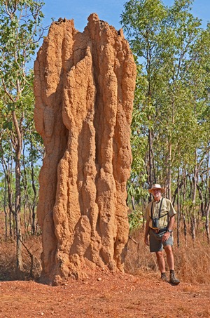 Cathedral Termite mound - Yours truly alongside a mound at Litchfield NP. The mound must be more than 7 metres high