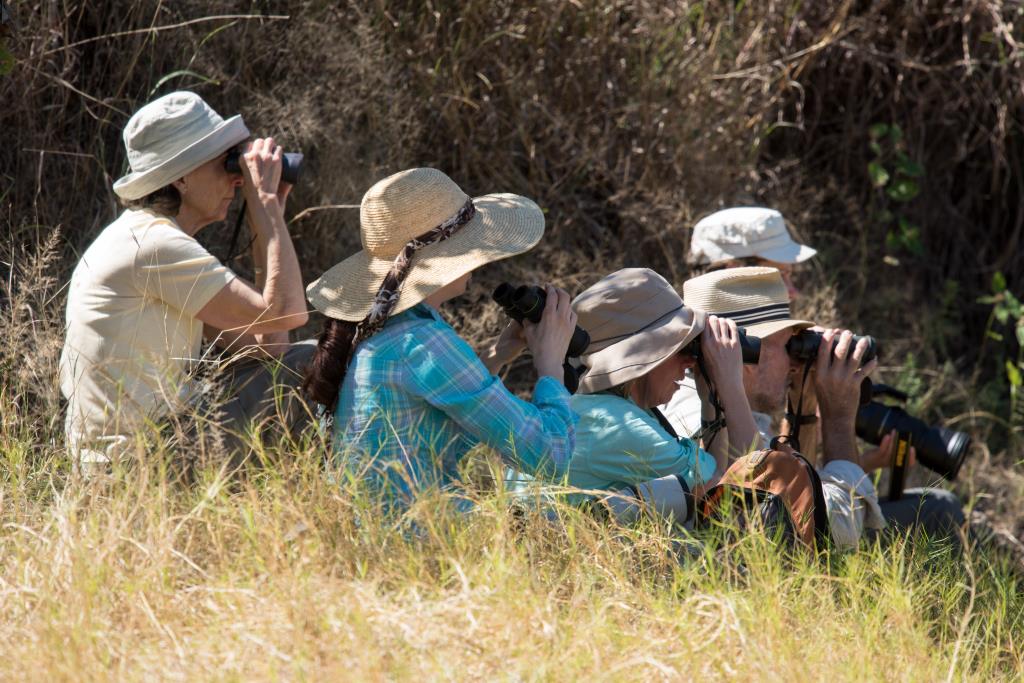 Best of Top End Birding group watching target finch species near Timber Creek  (photo copyright Marg Lacey)