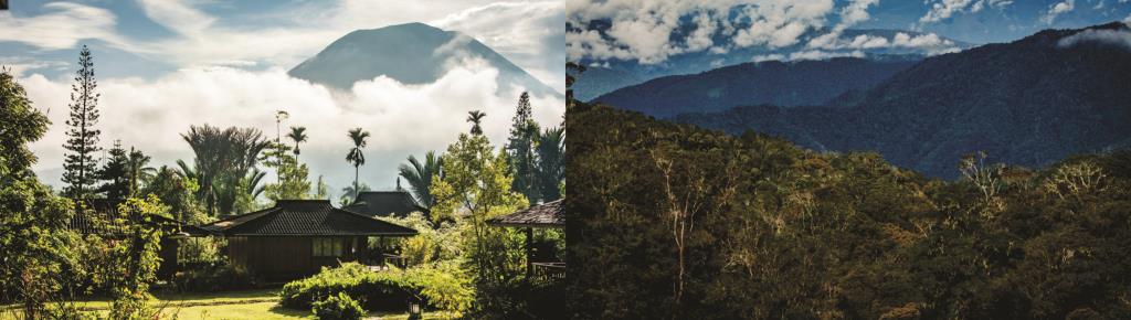  Gng Lokon & grounds of our hotel and Arfak Mountains  (photo copyright K. David Bishop)