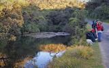 Arrenga Pond, Horton Plains. Arreng is the local name for the endemic Sri Lanka Whistling Thrush  (photo copyright Mike Jarvis)