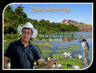 Ian Morris spokesman for nature  (photo copyright Ian Morris)