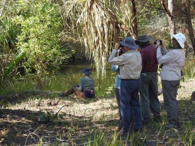 Watching for Yellow-rumped Mannikins at Dingo Springs, near Timber Creek  (photo copyright Mike Jarvis)
