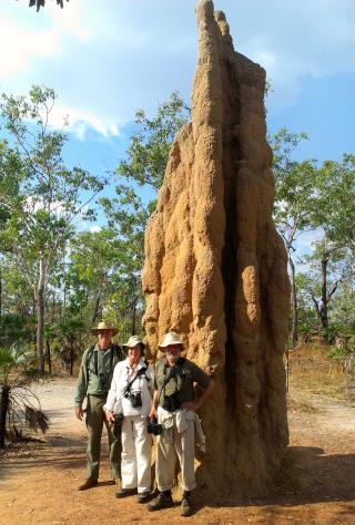 Cathedral Termite Mound in Litchfield National Park  (photo copyright Mike Jarvis)