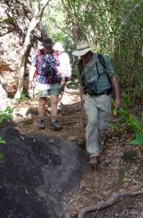 Circuit walk through parts of Burrunggui in the wet season  (photo copyright Ashley Maple)