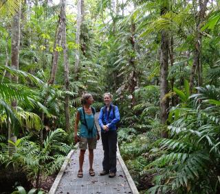 Fogg Dam Monsoon Forest Walk  (photo copyright Mike Jarvis)