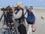 Scoping waders at Adele Island, with curios Brown Booby looking on  (photo copyright Mike Jarvis)