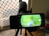 Digiscoping adaptor for mobile phone  (photo copyright Mike Jarvis)