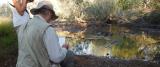 Fergusson River - Gouldian Finches come to this location to drink early in the morning  (photo copyright Mike Jarvis)