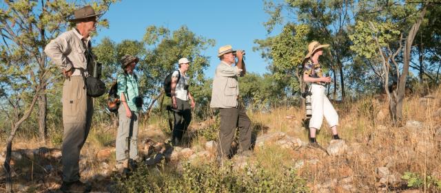 Group birding in savannah woodland near Timber Creek